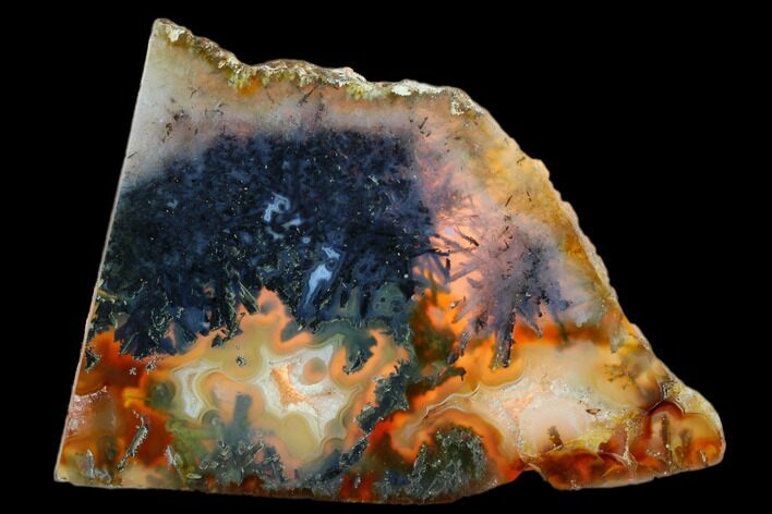 Polished Trent Agate With Stibnite & Realgar - Oregon #184749